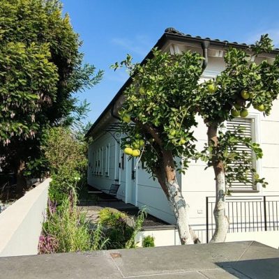 WhatsApp Image 2025-11-20 at 15.15.04