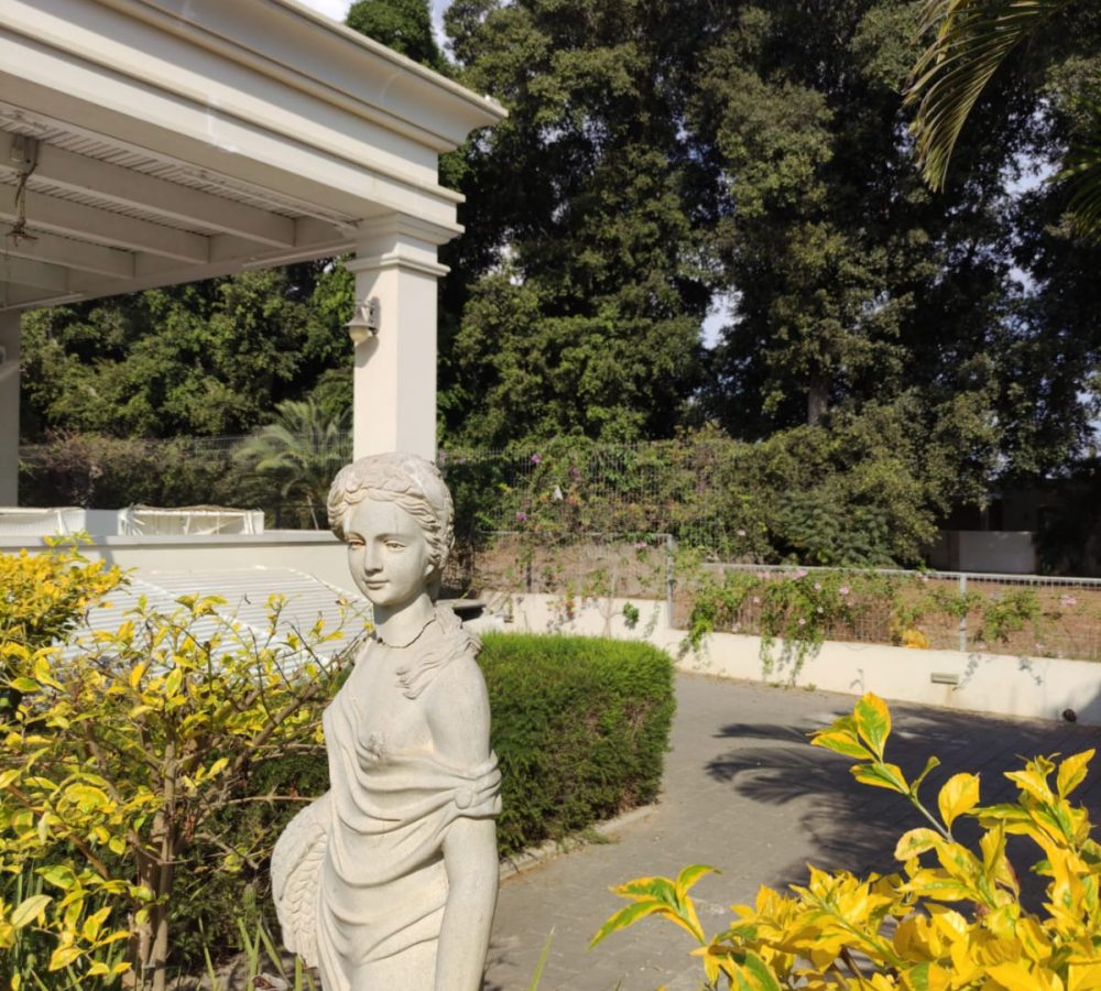 WhatsApp Image 2025-11-20 at 15.15.09